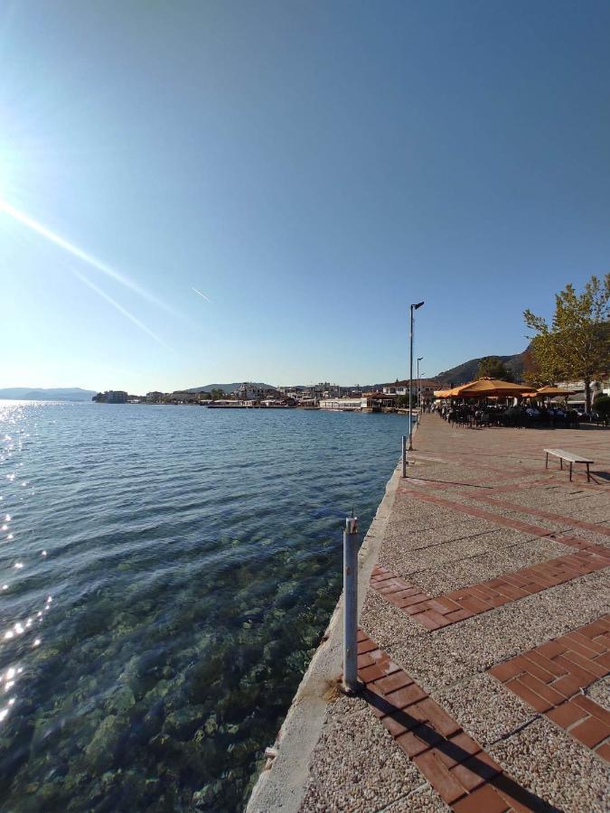 Apartment Dream House Agria