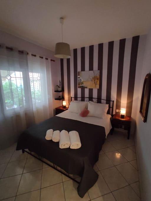 Dream House * Agria