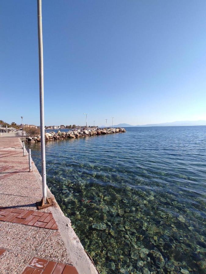 Dream House Apartment Agria
